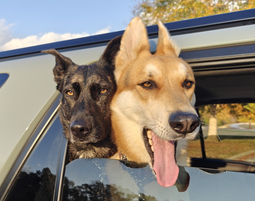 Carver and Shani on a ride